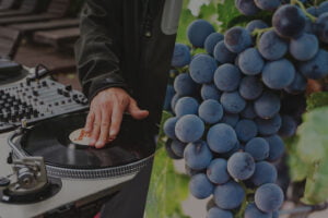 vin musique dj